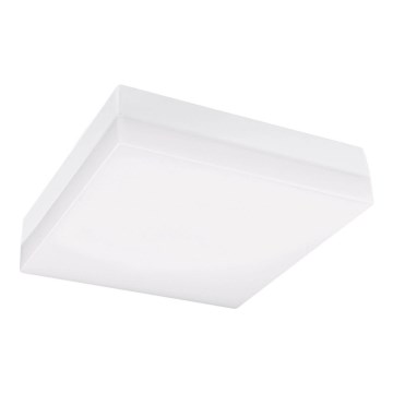 LED Koupelnové stropní svítidlo LED/12W/230V 3000/4000/6000K 22x22 cm IP44