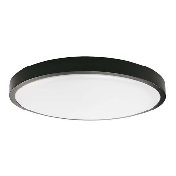 LED Koupelnové stropní svítidlo LED/18W/230V 3000K IP44 černá