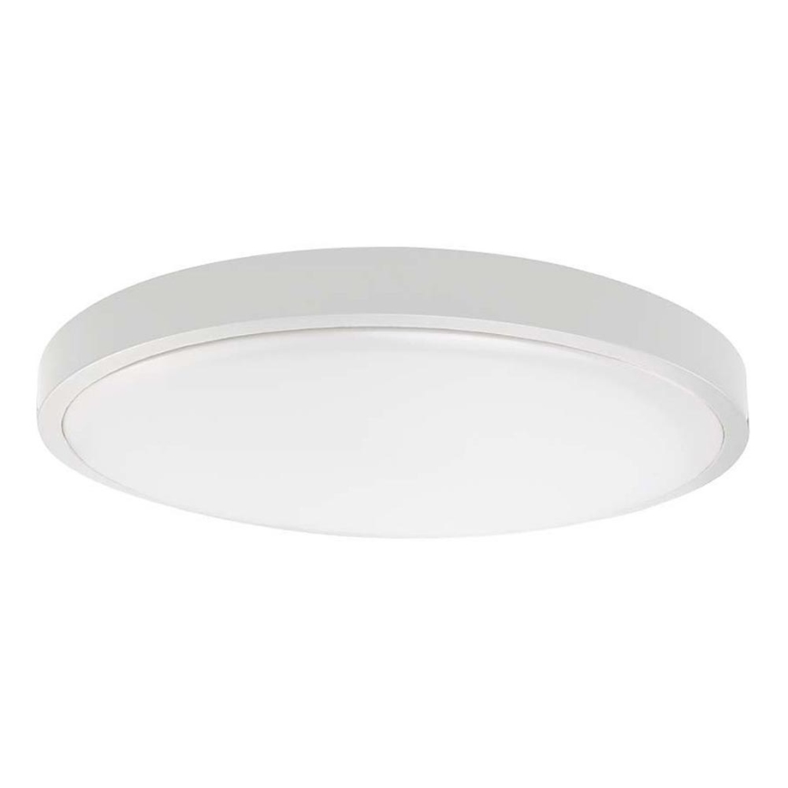 LED Koupelnové stropní svítidlo LED/18W/230V 3000K IP44 pr. 22,5 cm bílá