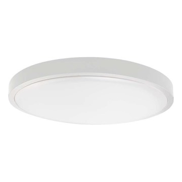 LED Koupelnové stropní svítidlo LED/18W/230V 4000K IP44 pr. 22,5 cm bílá