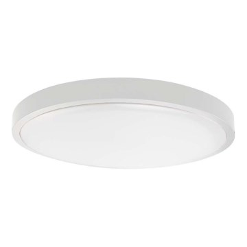 LED Koupelnové stropní svítidlo LED/18W/230V 4000K IP44 pr. 25 cm bílá
