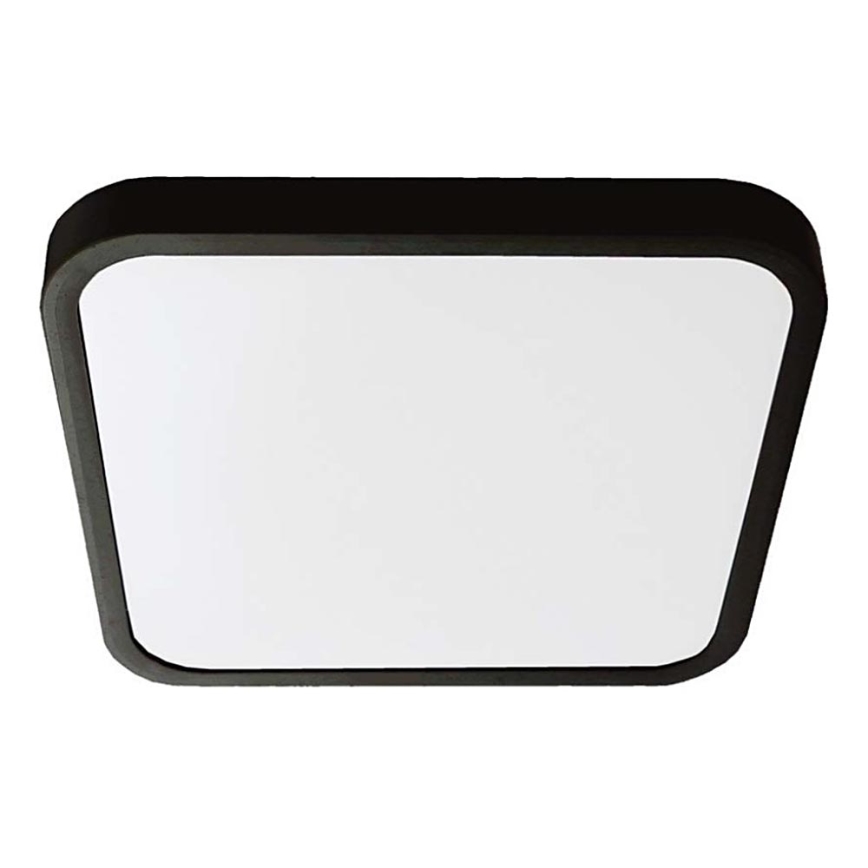 LED Koupelnové stropní svítidlo LED/18W/230V 6500K IP44 25x25 cm černá