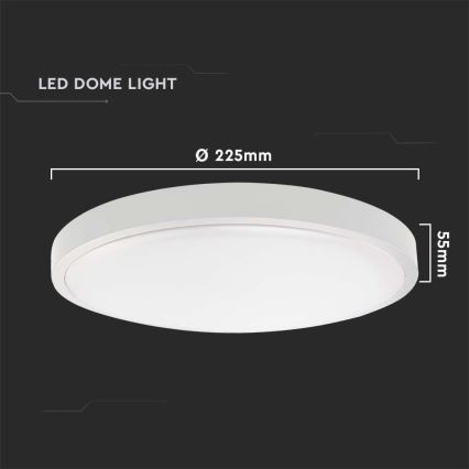 LED Koupelnové stropní svítidlo LED/18W/230V 6500K IP44 bílá