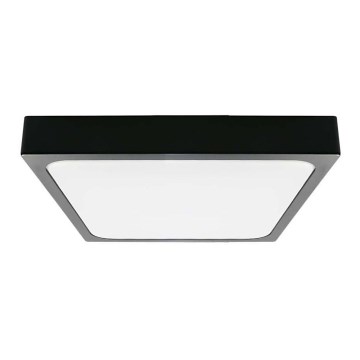 LED Koupelnové stropní svítidlo LED/18W/230V 6500K IP44 černá