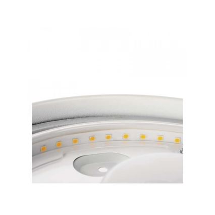 LED Koupelnové stropní svítidlo LED/18W/230V IP44