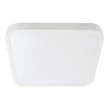 LED Koupelnové stropní svítidlo LED/24W/230V 3000K IP44 29,5x29,5 cm bílá
