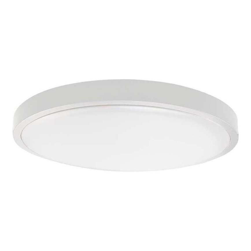 LED Koupelnové stropní svítidlo LED/24W/230V 3000K IP44 pr. 29,5 cm bílá