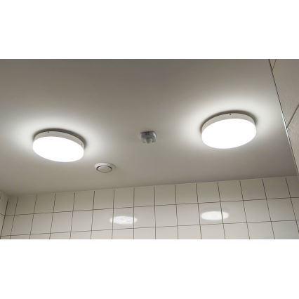 LED Koupelnové stropní svítidlo LED/24W/230V 3000K pr. 28 cm IP44