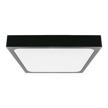 LED Koupelnové stropní svítidlo LED/24W/230V 6500K IP44 černá