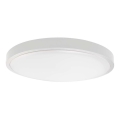 LED Koupelnové stropní svítidlo LED/24W/230V 6500K IP44 pr. 29,5 cm bílá