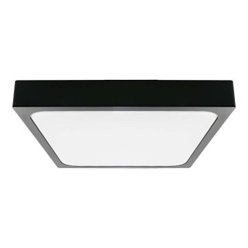 LED Koupelnové stropní svítidlo LED/30W/230V 4000K IP44 černá