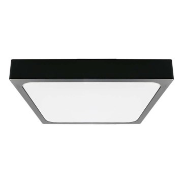 LED Koupelnové stropní svítidlo LED/30W/230V 4000K IP44 černá