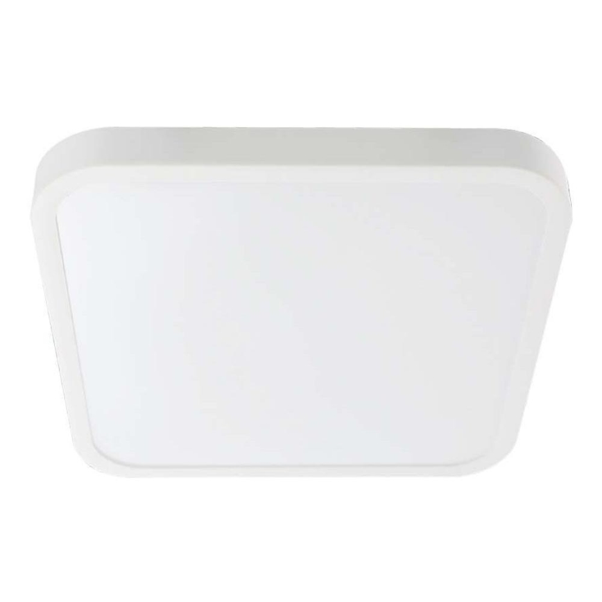LED Koupelnové stropní svítidlo LED/48W/230V 6500K IP44 42x42 cm bílá