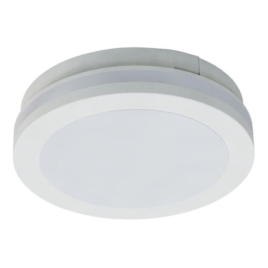 LED Koupelnové stropní svítidlo MARLON LED/12W/230V pr. 18 cm IP54 bílá