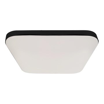 LED Koupelnové stropní svítidlo NEMO LED/17W/230V IP44 černá