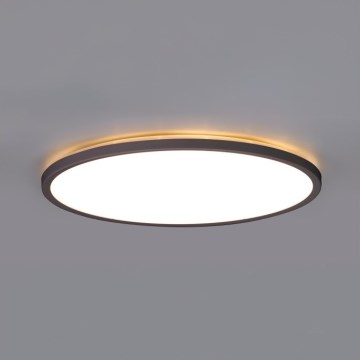 LED Koupelnové stropní svítidlo NIVERA LED/12W/230V IP54 3000/4000/6000K pr. 22,5 cm černá