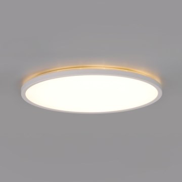 LED Koupelnové stropní svítidlo NIVERA LED/18W/230V IP54 3000/4000/6000K pr. 30 cm bílá