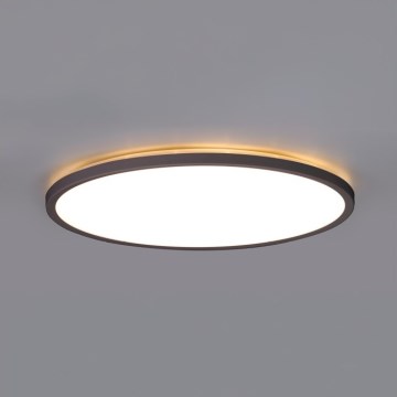 LED Koupelnové stropní svítidlo NIVERA LED/24W/230V IP54 3000/4000/6000K pr. 30 cm černá