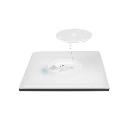 LED Koupelnové stropní svítidlo NIVERA LED/24W/230V IP54 3000/4000/6000K 30x30 cm černá