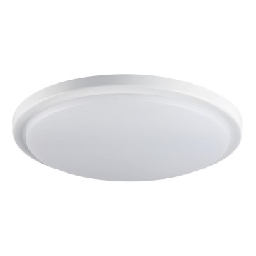 LED Koupelnové stropní svítidlo ORTE LED/24W/230V IP54