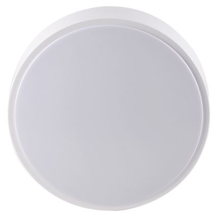 LED Koupelnové stropní svítidlo RENE LED/15W/230V IP44 bílá