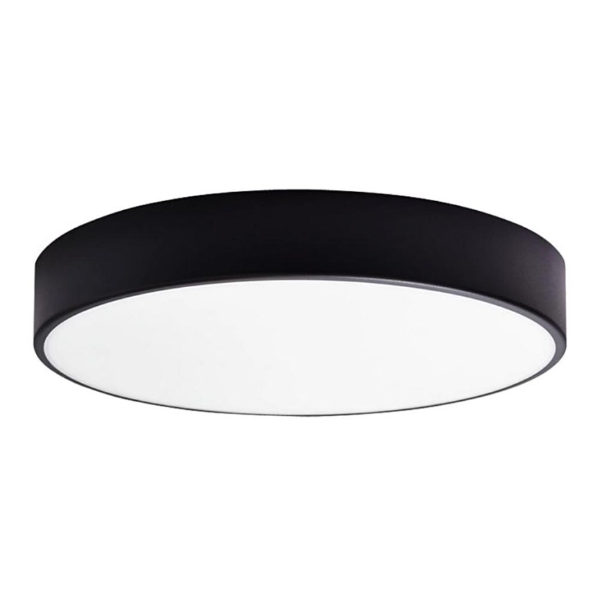 LED Koupelnové stropní svítidlo RENE LED/15W/230V IP44 černá