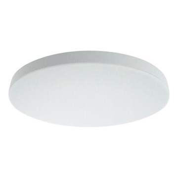 LED Koupelnové stropní svítidlo RIMA LED/10W/230V pr.22,5 cm IP44 bílá