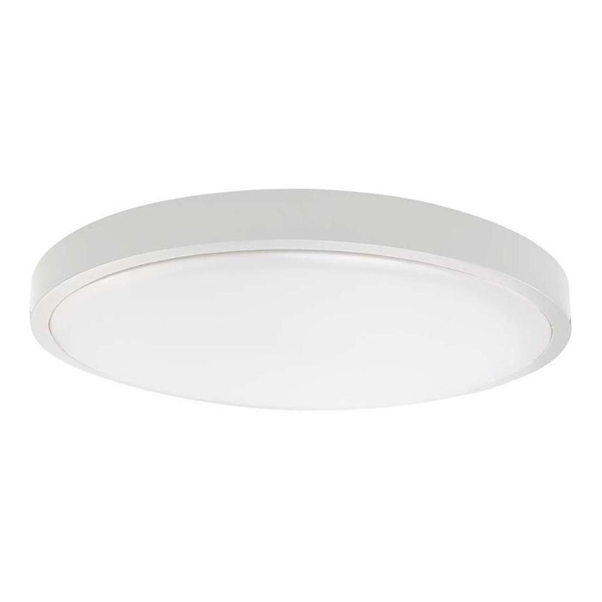 LED Koupelnové stropní svítidlo SAMSUNG CHIP LED/18W/230V IP44 6500K pr. 25 cm bílá