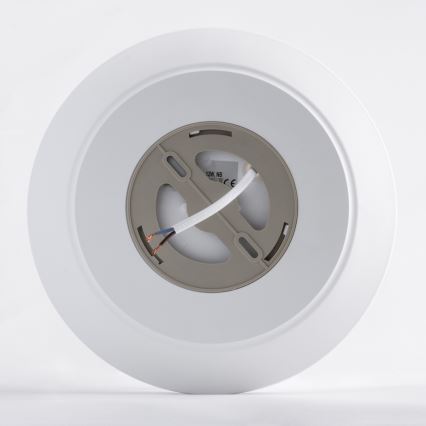 LED Koupelnové stropní svítidlo se senzorem AVESTA LED/12W/230V 4000K IP54