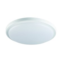 LED Koupelnové stropní svítidlo se senzorem ORTE LED/18W/230V IP54