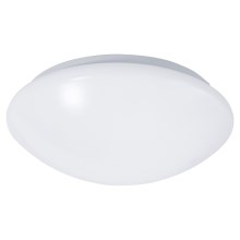 LED Koupelnové stropní svítidlo se senzorem REVA LED/12W/230V IP44
