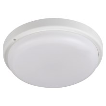 LED Koupelnové stropní svítidlo TOLU LED/18W/230V 4000K IP54 bílá