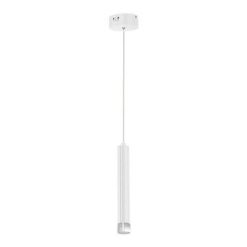 LED Lustr na lanku ALBA 1xLED/5W/230V bílá