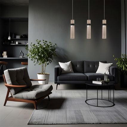 LED Lustr na lanku AMBIENTE 3xLED/6W/230V 3000/4000/6000K černá