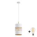 LED Lustr na lanku BOGART 1xE27/15W/230V bílá/zlatá