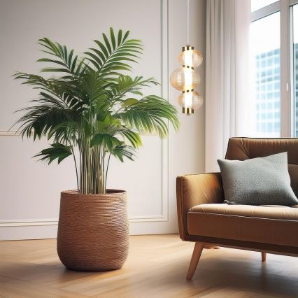 LED Lustr na lanku BOLLA LED/12W/230V pr. 16 cm zlatá/kouřová béžová