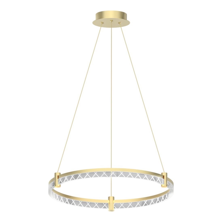 LED Lustr na lanku ELEGANCE LED/36W/230V pr. 60 cm zlatá