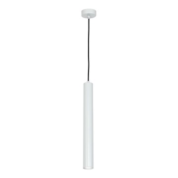 LED Lustr na lanku GOTO LED/4W/230V