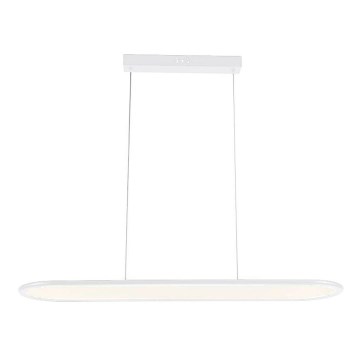 LED Lustr na lanku LED/24W/230V 4000K bílá