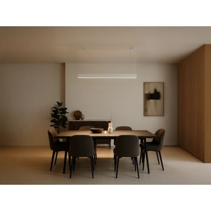 LED Lustr na lanku LED/55W/230V 3000/4000/6500K 120 cm bílá