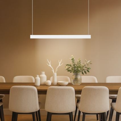 LED Lustr na lanku LINEA LED/36W/230V 3000/4000/5700K CRI 90 bílá