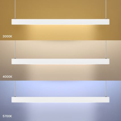 LED Lustr na lanku LINEA LED/36W/230V 3000/4000/5700K CRI 90 bílá