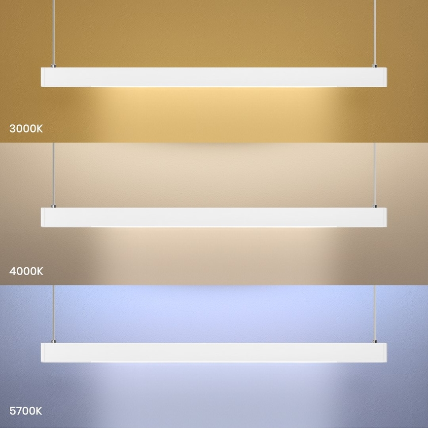 LED Lustr na lanku LINEA LED/36W/230V 3000/4000/5700K CRI 90 bílá