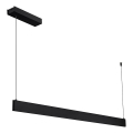 LED Lustr na lanku LINEA LED/36W/230V 3000/4000/5700K CRI 90 černá