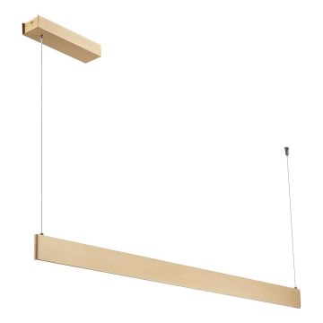 LED Lustr na lanku LINEA LED/36W/230V 3000/4000/5700K CRI 90 zlatá