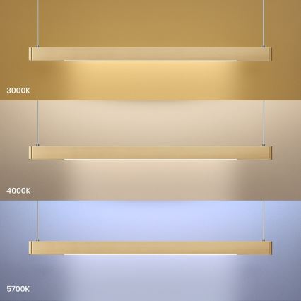 LED Lustr na lanku LINEA LED/36W/230V 3000/4000/5700K CRI 90 zlatá