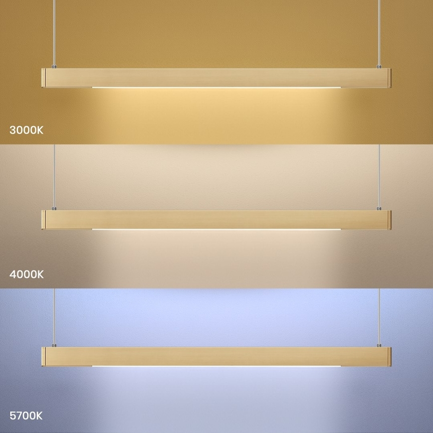 LED Lustr na lanku LINEA LED/36W/230V 3000/4000/5700K CRI 90 zlatá