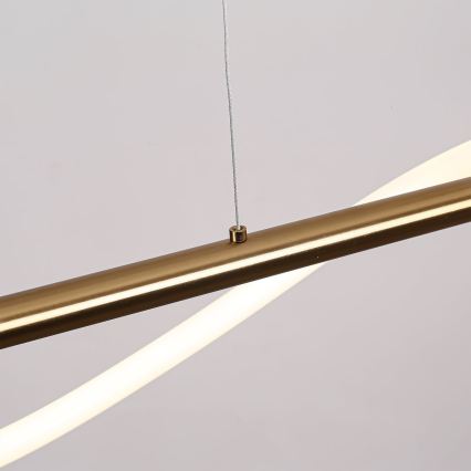 LED Lustr na lanku MELECA LED/24W/230V 3000/4000/6000K 100 cm zlatá
