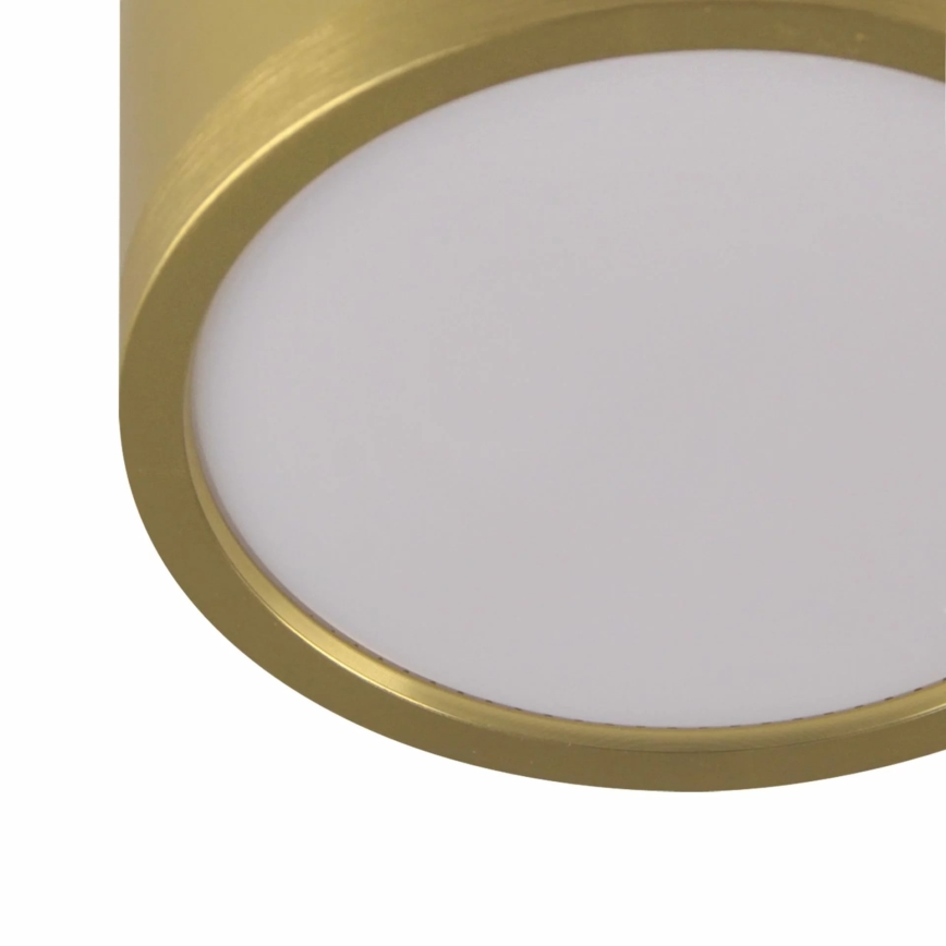 LED Lustr na lanku MIRELLA 4xGX53/6W/230V zlatá/černá