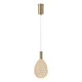 LED Lustr na lanku PERFORATO LED/6,3W/230V 3000K zlatá pr. 14 cm